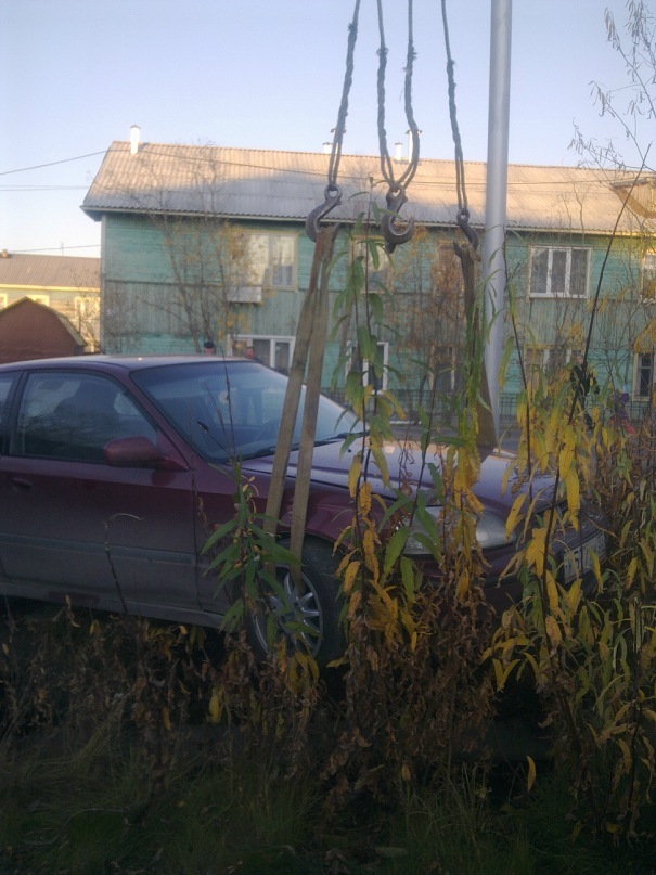 Александр Труш фотография #47