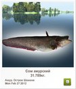 Людмила Бабікова фотография #32 (источник - https://vk.com/id155289329)