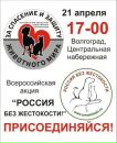 Фотография Макаровой Анжелы