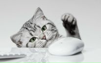 Фотография Жураковского Станислава