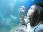 Фотография Petrova Annette