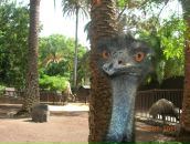 Фотография Тошиной Оксаны