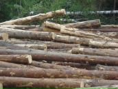 Ігор Кобилинець фотография #23 (источник - https://vk.com/id58382929)