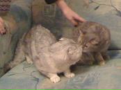 Фотография Ловягиной Маши