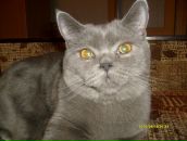 Фотография Николаевой Алёны