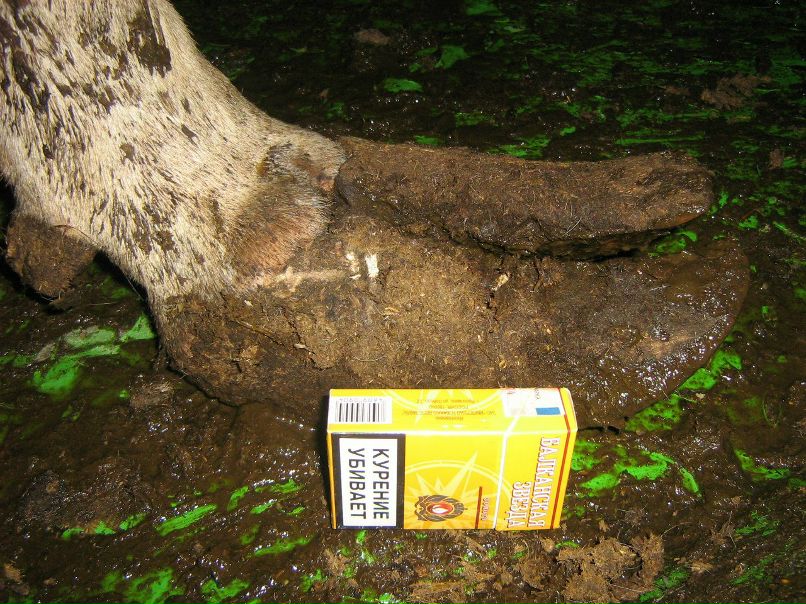 Иван Плотников фотография #41