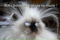 Фотография Рудакова Сергея