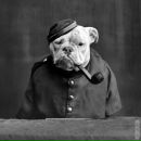 Фотография Борисова Ярослава