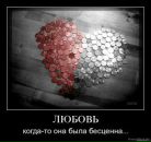 Віка Ничипор фотография #5 (источник - https://vk.com/id142054891)