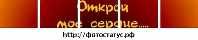 Владік Черничко фотография #1