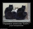Александр Головань фотография #3 (источник - https://vk.com/id55811247)