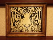 Фотография Ерофеева Александра