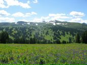 Фотография Федоренко Дмитрия