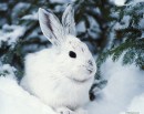 Віка Прошляк фотография #25 (источник - https://vk.com/id80813060)