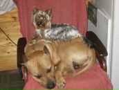 Фотография Изоткиной Марии