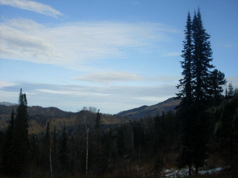 Даниил Железняков фотография #41