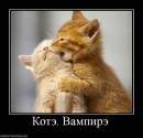 Я... ФоЛныФко=) фотография #11 (источник - https://vk.com/id58452694)