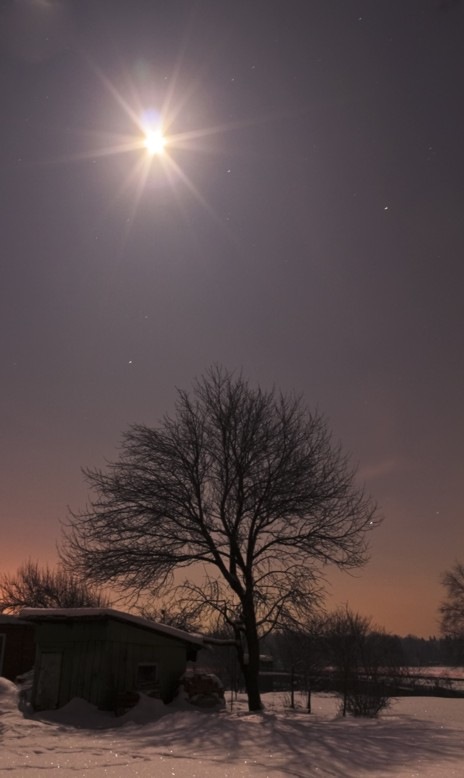 Artificial Intellect фотография #1