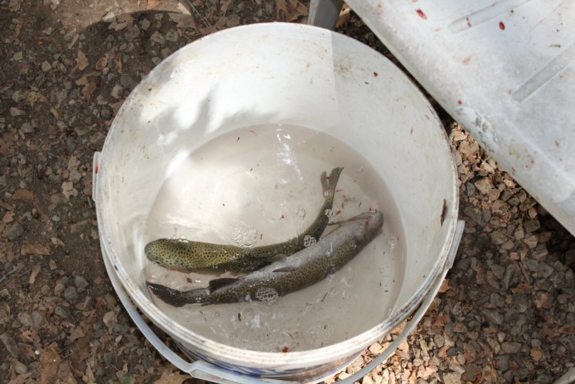 Тимур Бабаев фотография #38