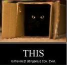 Антон Воробьёв фотография #31 (источник - https://vk.com/id3472930)