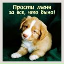 Фотография Салмина Димы