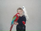 Євген Ситницький фотография #15 (источник - https://vk.com/id87859294)