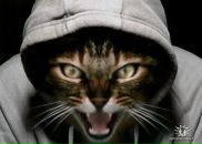 Фотография Завязкина Романа