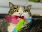 Фотография Александровны Артели