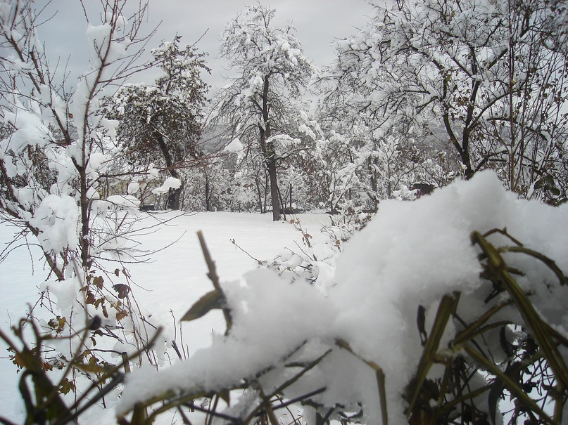 Era New фотография #40