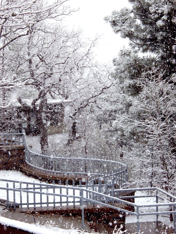 Era New фотография #48