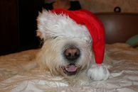 Фотография Volkov Dmitry