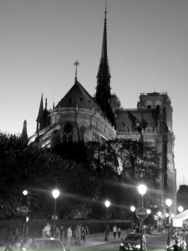 Даниил Шульман фотография #8