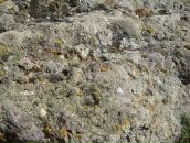 Иван Науменко фотография #18 (источник - https://vk.com/id1709245)