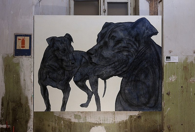 Лейли Асланова фотография #43