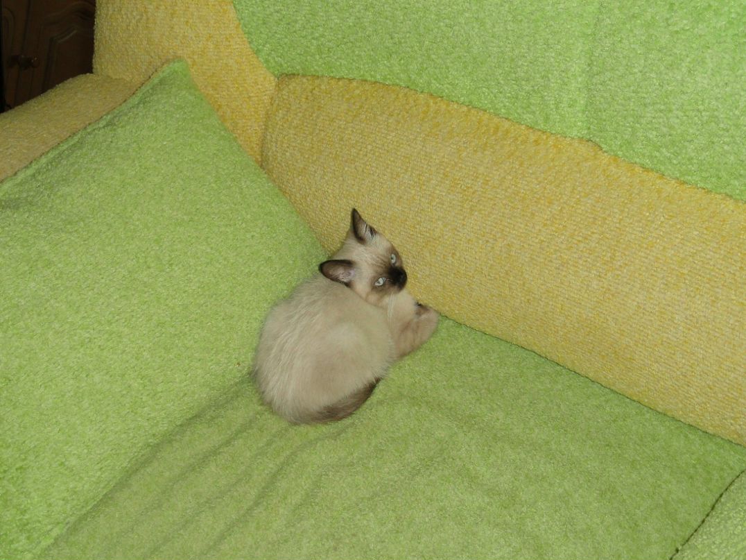 Стас Олейник фотография #22