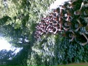 Дмитрій Михальчук фотография #40 (источник - https://vk.com/id58858132)