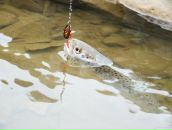 Славік Кухарський фотография #44 (источник - https://vk.com/id83026840)