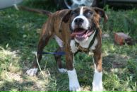 Кирилл Митяев фотография #40 (источник - https://vk.com/id6828811)