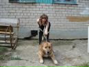 Фотография Кошелевой Наталии