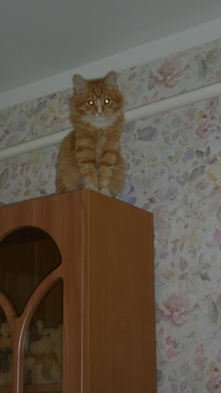 Владимир Ефременко фотография #3
