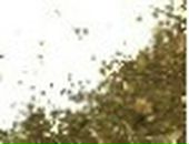 Марійка Савицька фотография #19 (источник - https://vk.com/id37940401)