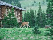 Євген Михайлович фотография #24 (источник - https://vk.com/id4959644)