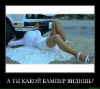 Дима Катаев фотография #48 (источник - https://vk.com/id12897255)