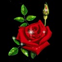 Настя Іващук фотография #42 (источник - https://vk.com/id139979706)