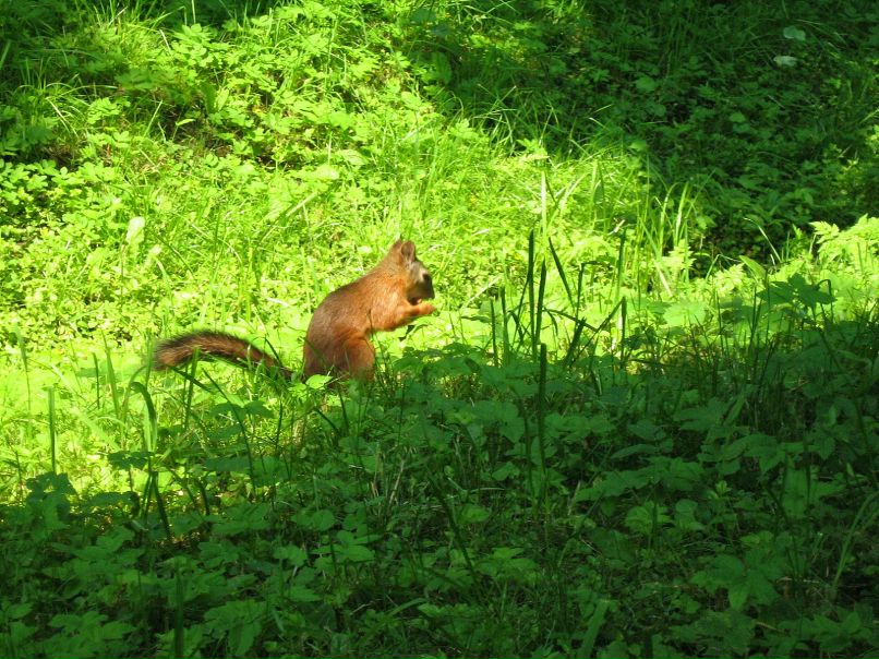 Александр Артыков фотография #16