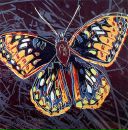 Фотография Исакова Ивана