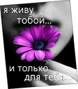 Трикси :d фотография #35 (источник - https://vk.com/id147225804)