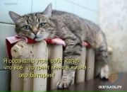 Фотография Федяевой Ольги