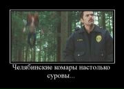 Анастасия Ершова фотография #14 (источник - https://vk.com/id85769143)