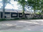 Іван Hardos фотография #13 (источник - https://vk.com/id91171669)